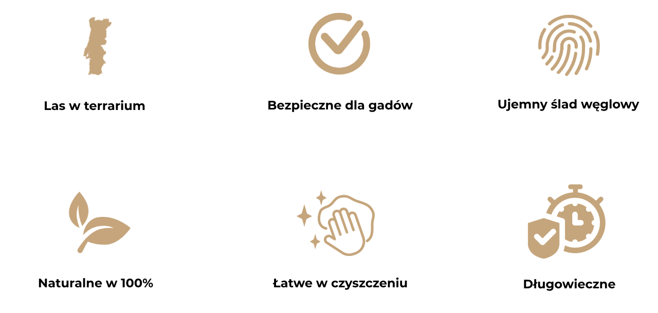 Obraz przedstawia sześć ikon opisujących zalety tub korkowych do terrarium.